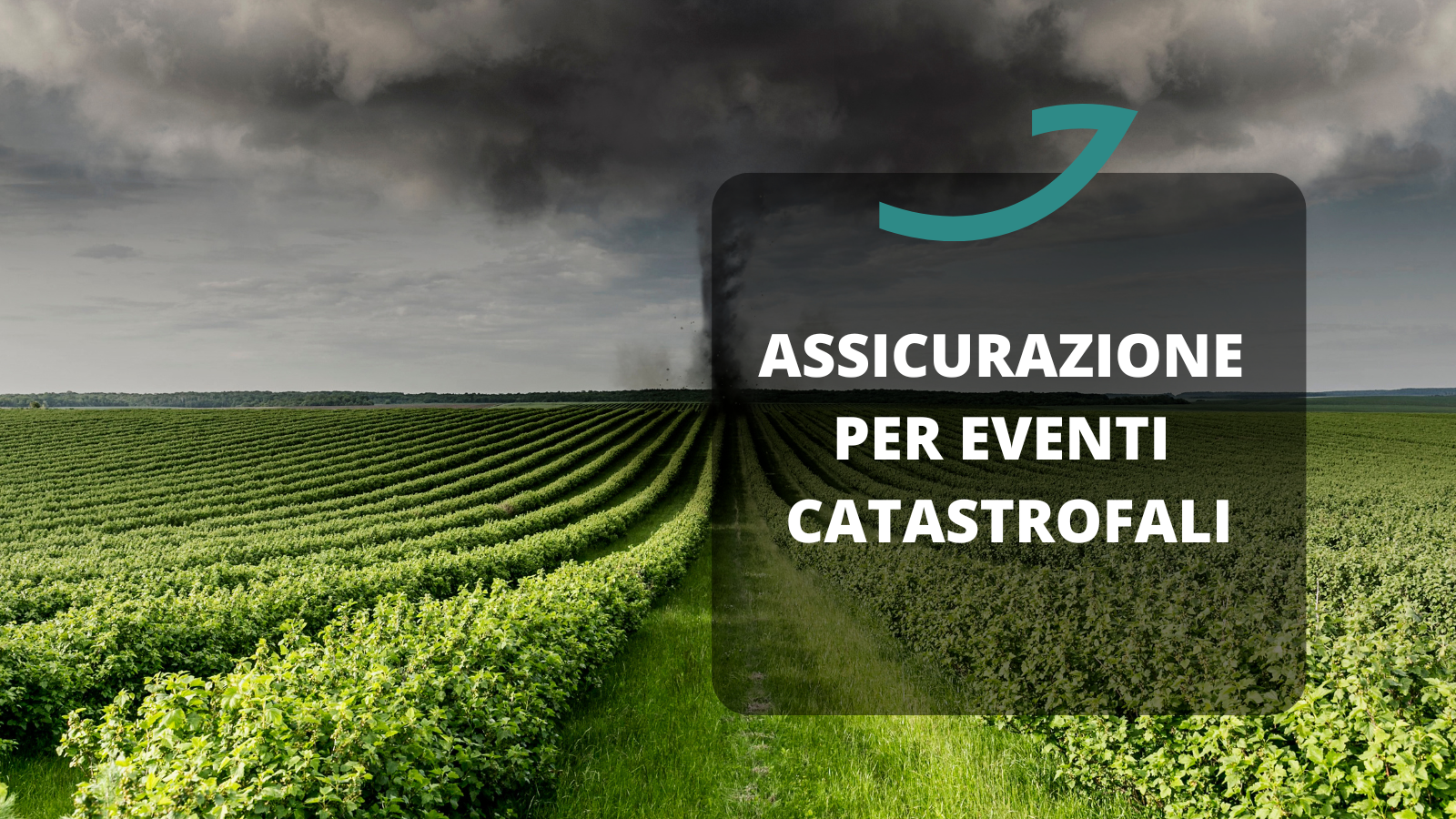 assicurazione eventi catastrofali